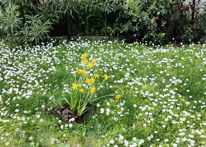 Grigio Perla Panigale, Villetta Di Pregio Con Giardino E Parcheggio Privato Gratuito Fino A Tre Posti Auto