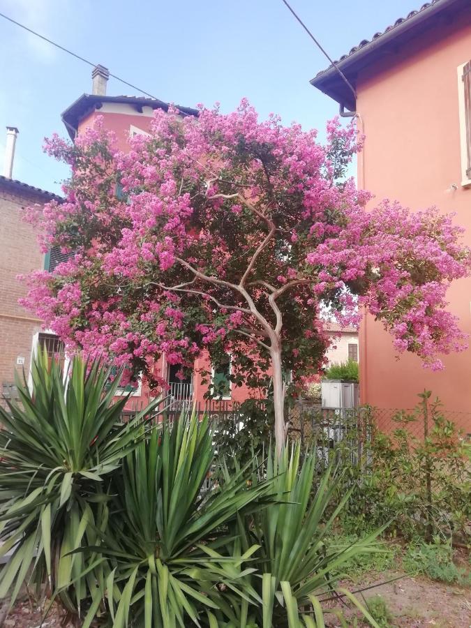 Appartement Grigio Perla Panigale, Con Giardino E Parcheggio Privato Gratuito Fino A Tre Posti Auto Bologna